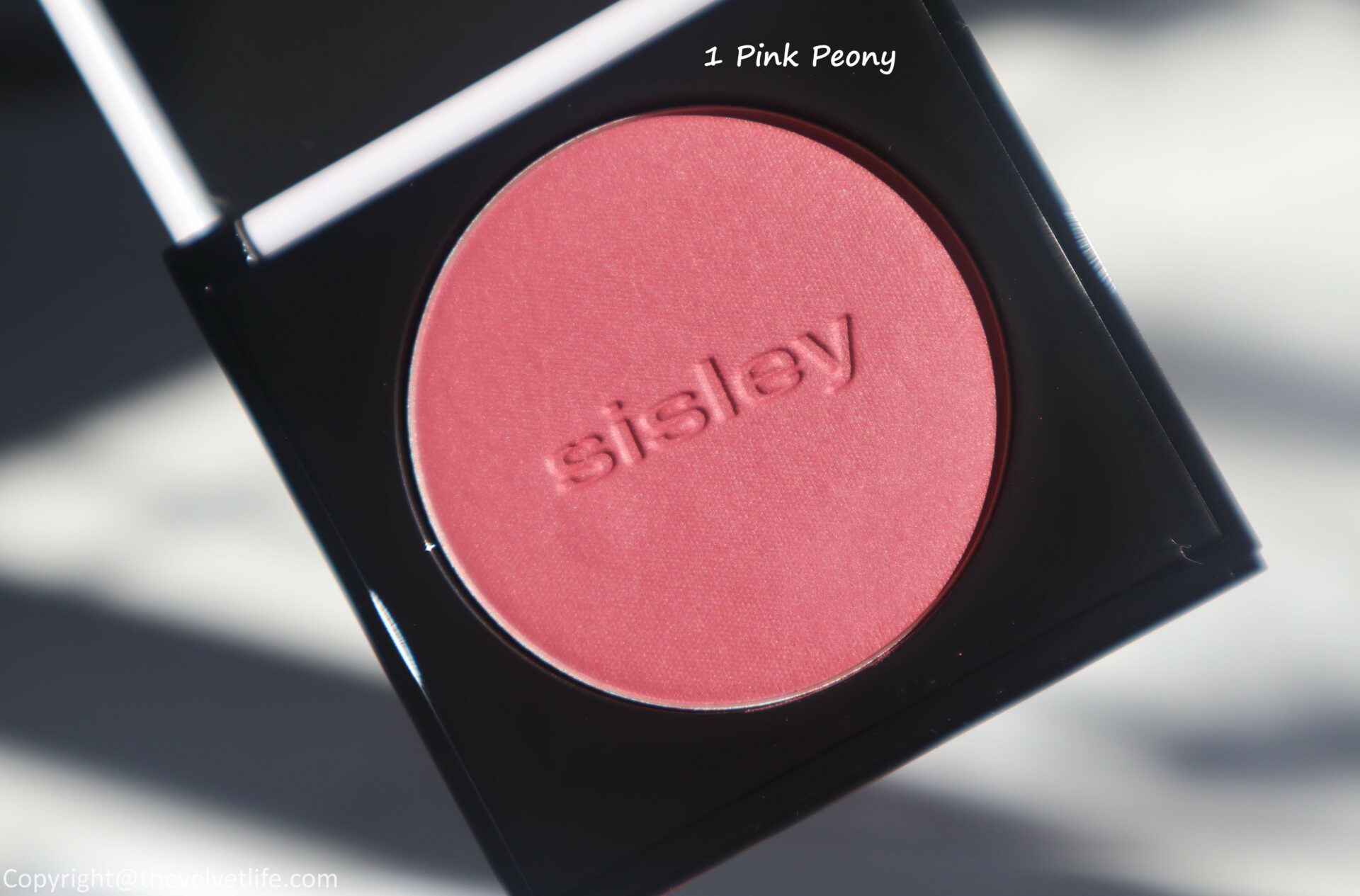 Sisley Paris Le Phyto Blush Review The Velvet Life