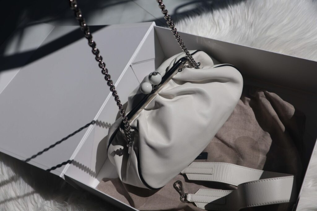 Max Mara Bag Review