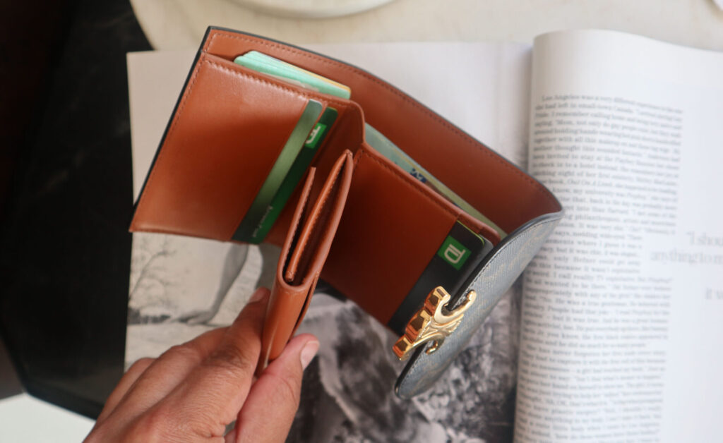 Which Celine Small Triomphe Wallet Would It Be For You? - BAGAHOLICBOY