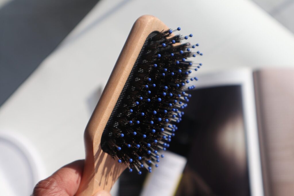 Hair Rituel by Sisley Paris Radiance Brush Review